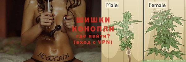 MESCALINE Мегион