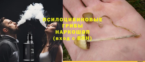 спайс Магас