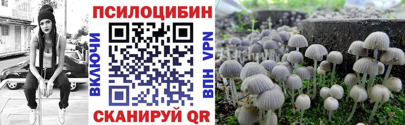 Галлюциногенные грибы Psilocybine cubensis  Зея 